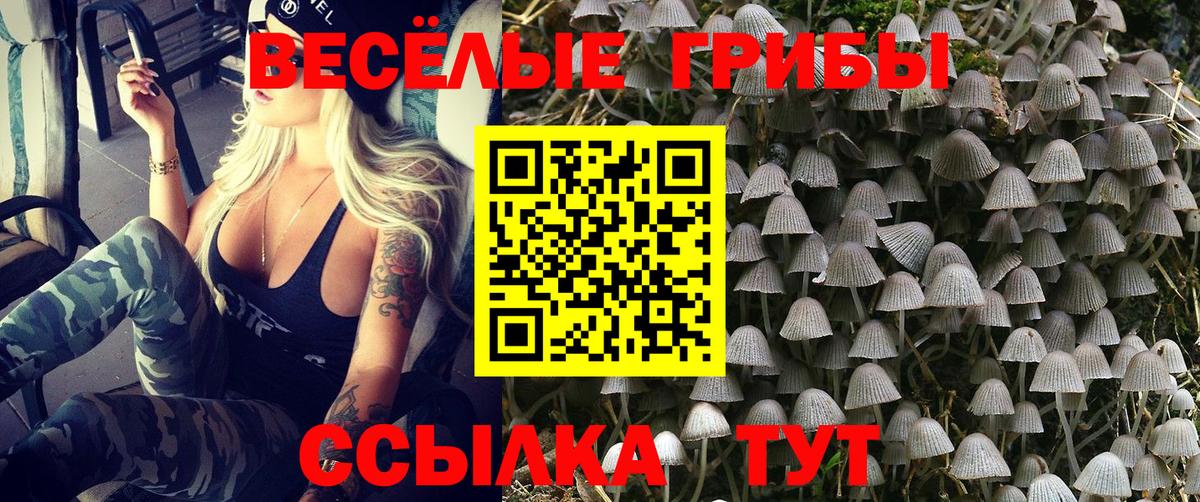 Галлюциногенные грибы мухоморы Славянск-на-Кубани