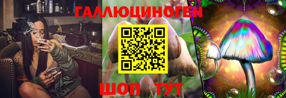 Галлюциногенные грибы Psilocybine cubensis  Вход с VPN  закладки  Славянск-на-Кубани 